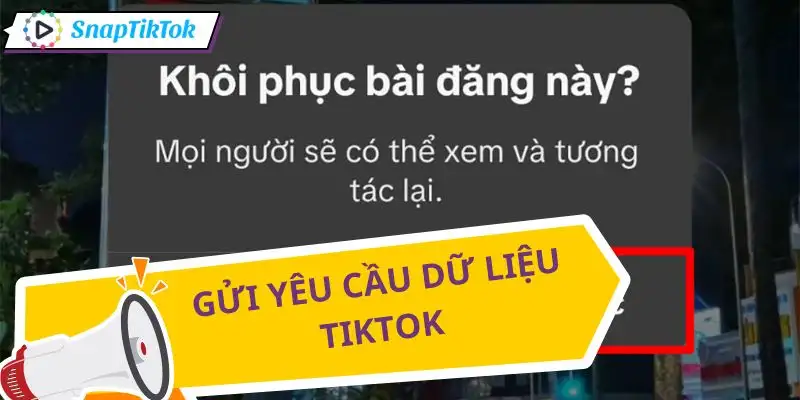 lay-lai-video-tiktok-da-xoa-yeu-cau-du-lieu-ca-nhan
