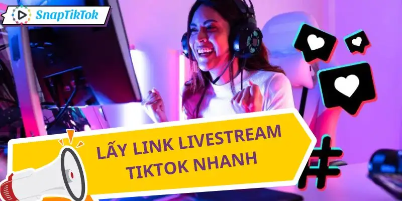 tai-livestream-tiktok-tim-va-lay-lien-ket