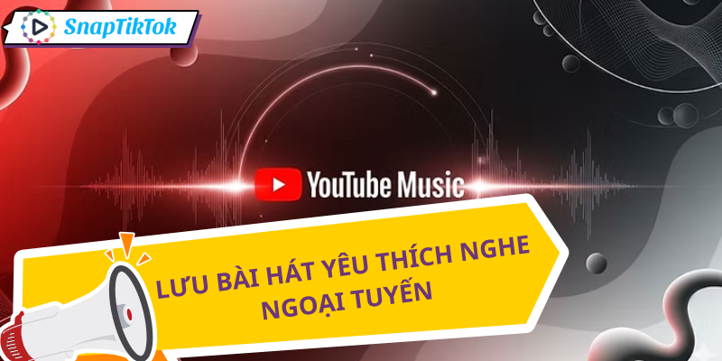 tai-nhac-youtube-mp3-ly-do