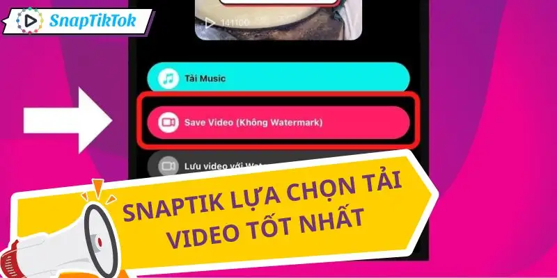 tai-nhieu-video-tiktok-cung-luc-snaptik-la-lua-chon-so-1