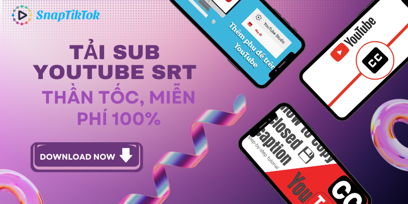 tai-sub-youtube-srt