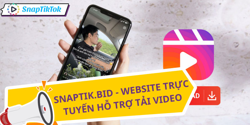 tai-video-instagram-reels-snaptik
