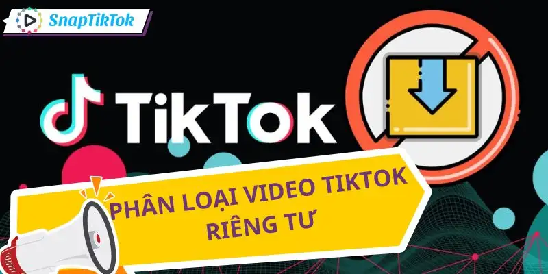 tai-video-tiktok-rieng-tu-phan-biet-cac-loai
