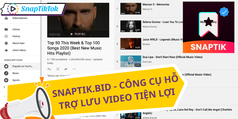 tai-playlist-youtube-snaptik
