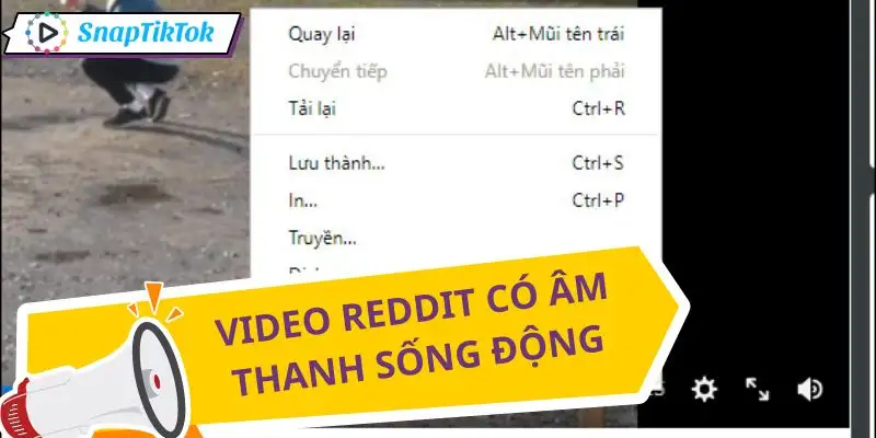 tai-video-reddit-co-am-thanh