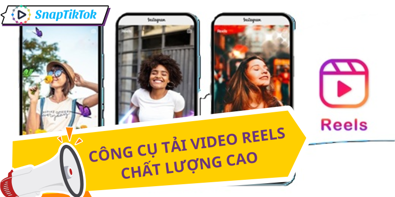 tai-video-reels-instagram-4k-snaptik