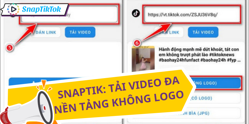 website-tai-video-tot-nhat-2026-snaptik
