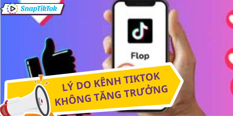 xay-dung-kenh-tiktok-khong-tang-truong