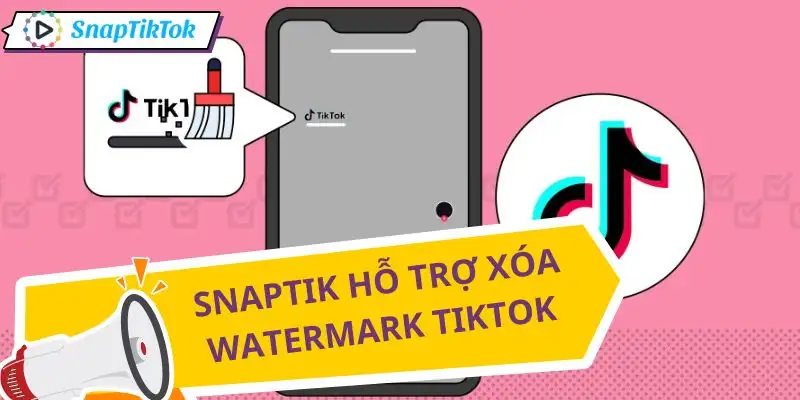 xoa-logo-tiktok-trong-video-bang-snaptik